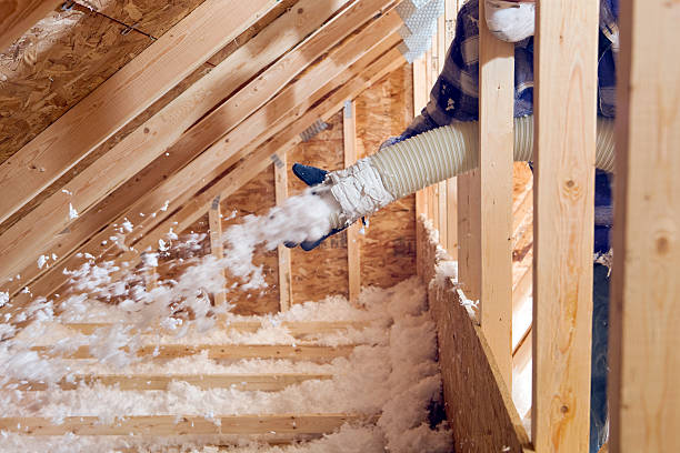 Best Attic Insulation Installation  in Lake In The Hls, IL